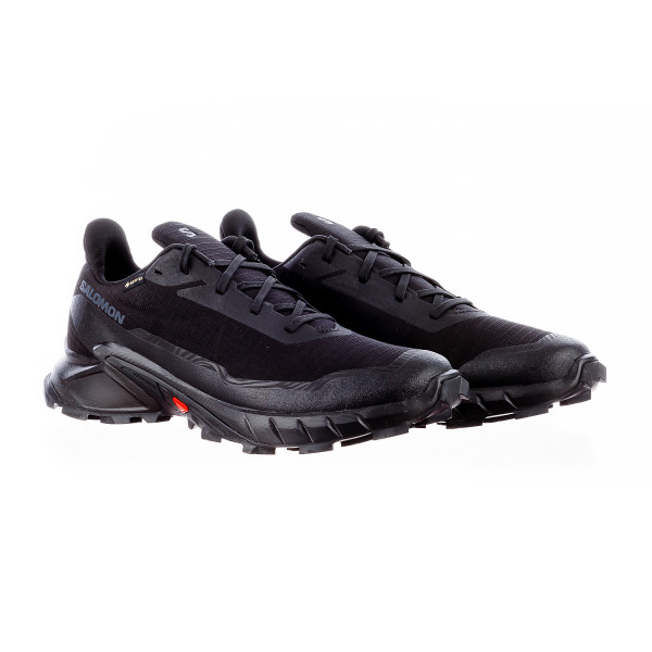 Кросівки чоловічі Salomon Alphacross 5 Gore-Tex (L47307500)