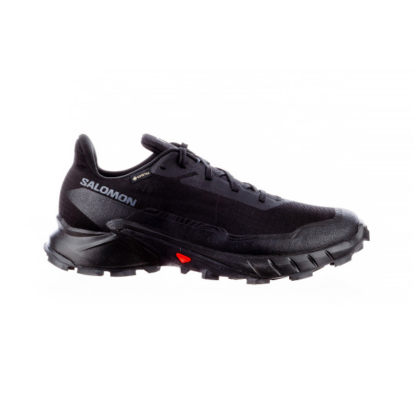 Кросівки чоловічі Salomon Alphacross 5 Gore-Tex (L47307500)