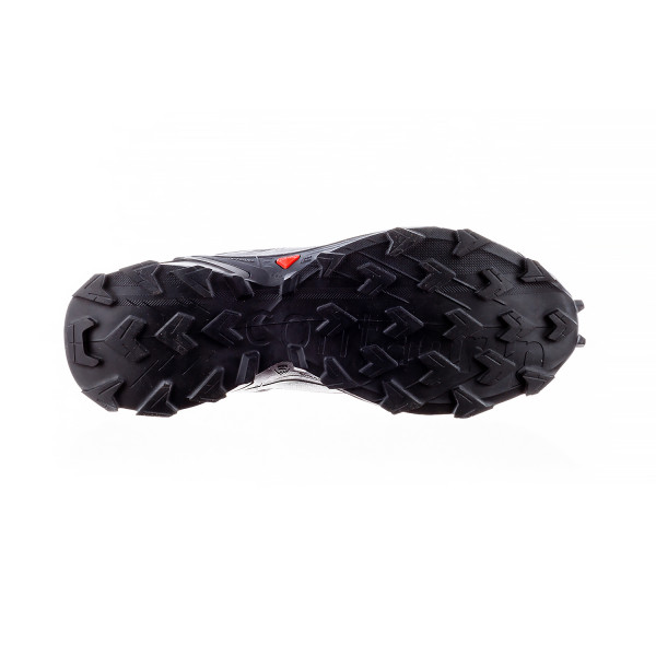 Кросівки чоловічі Salomon Alphacross 5 Gore-Tex (L47307500)
