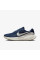 Кросівки чоловічі Nike Revolution 8 (HJ9198-402)