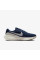 Кросівки чоловічі Nike Revolution 8 (HJ9198-402)