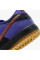 Кросівки чоловічі Nike Sb Dunk Low Pro Violet/Black (HQ1625-500)