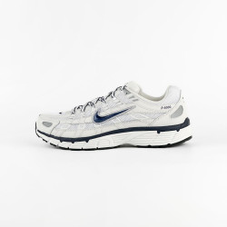 Кросівки чоловічі Nike P-6000 (CD6404-018)