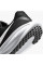 Кросівки чоловічі Nike Revolution 8 (HJ9198-003)