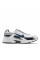 Кросівки чоловічі Nike Initiator (394055-200)