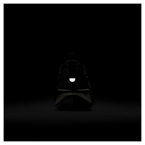 Кросівки чоловічі Nike Wildhorse 10 (FV2338-001)