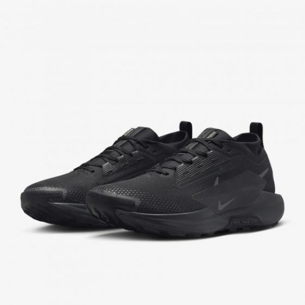 Кросівки для бігу чоловічі Nike Pegasus Trail 5 Gtx (FQ0908-002)