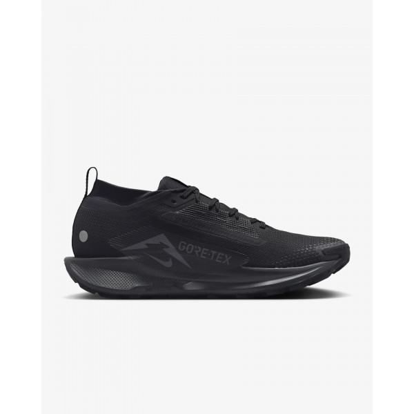 Кросівки для бігу чоловічі Nike Pegasus Trail 5 Gtx (FQ0908-002)