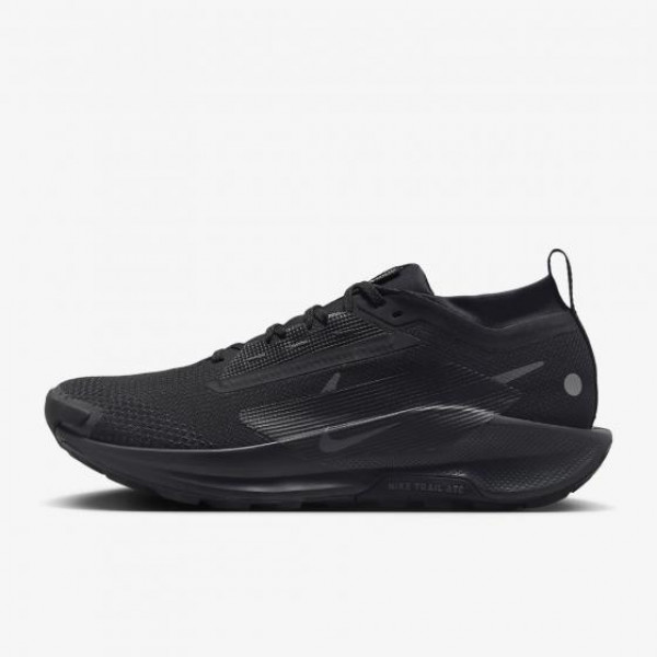 Кросівки для бігу чоловічі Nike Pegasus Trail 5 Gtx (FQ0908-002)