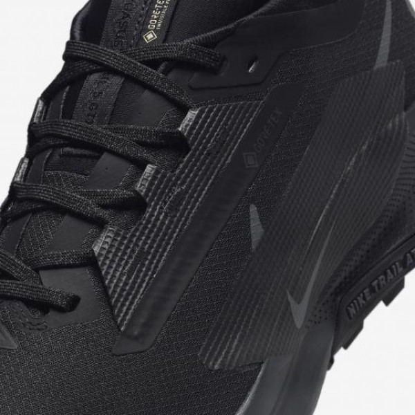 Кросівки для бігу чоловічі Nike Pegasus Trail 5 Gtx (FQ0908-002)
