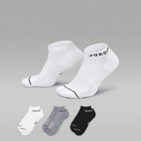 Шкарпетки Jordan Everyday No-Show Dri-Fit (DX9656-911)