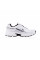 Кросівки жіночі Nike Initiator (FQ6873-101)