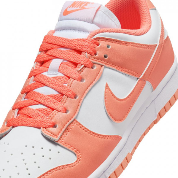 Кросівки жіночі Nike Dunk Low Next Nature (DD1873-109)