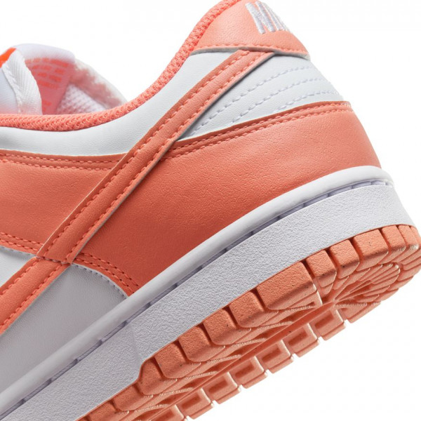 Кросівки жіночі Nike Dunk Low Next Nature (DD1873-109)