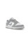 Кросівки жіночі Nike Dunk Low Next Nature Light Smoke Grey (DD1873-113)