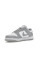 Кросівки жіночі Nike Dunk Low Next Nature Light Smoke Grey (DD1873-113)