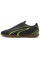 Футзалки чоловічі  Puma VITORIA IT чорний 107485-03