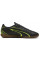 Футзалки чоловічі  Puma VITORIA IT чорний 107485-03