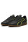Футзалки чоловічі  Puma VITORIA IT чорний 107485-03