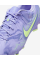 Бутси чоловічі Nike LEGEND 10 ACADEMY FG/MG NU1 HF1590-500
