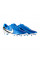 Бутси чоловічі  Nike LEGEND 10 ACADEMY FG/MG DV4337-400