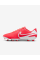 Бутси чоловічі Nike LEGEND 10 CLUB FG/MG DV4344-800