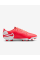 Бутси чоловічі Nike LEGEND 10 CLUB FG/MG DV4344-800