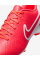 Бутси чоловічі Nike LEGEND 10 CLUB FG/MG DV4344-800