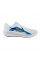 Кросівки чоловічі Nike DOWNSHIFTER 13 WIDE FJ1284-103