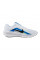 Кросівки чоловічі Nike DOWNSHIFTER 13 WIDE FJ1284-103