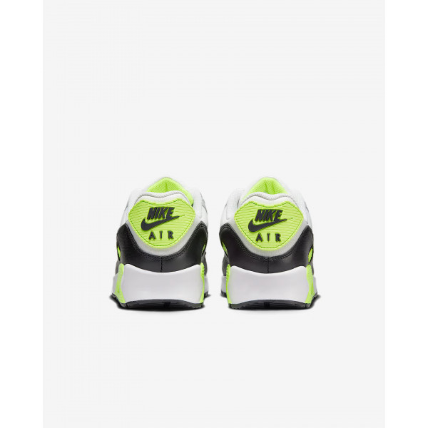 Кросівки чоловічі  Nike AIR MAX 90 GTX FD5810-102