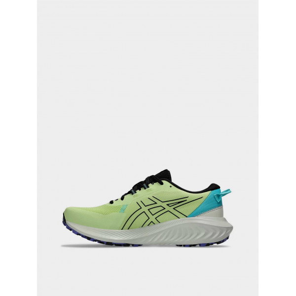 Кросівки чоловічі Asics GEL-EXCITE TRAIL 2 1011B594-301