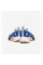 Кросівки жіночі Nike Air Zoom Tempo NEXT% BRS DV2147-400