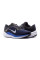 Кросівки чоловічі бігові Nike AIR WINFLO 10 DV4022-005
