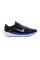 Кросівки чоловічі бігові Nike AIR WINFLO 10 DV4022-005