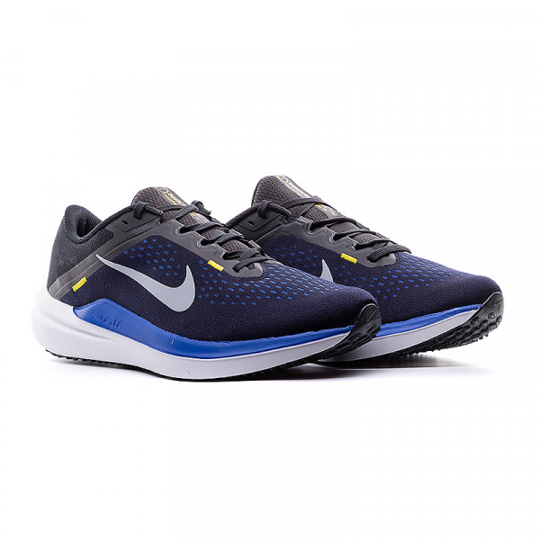 Кросівки чоловічі бігові Nike AIR WINFLO 10 DV4022-005