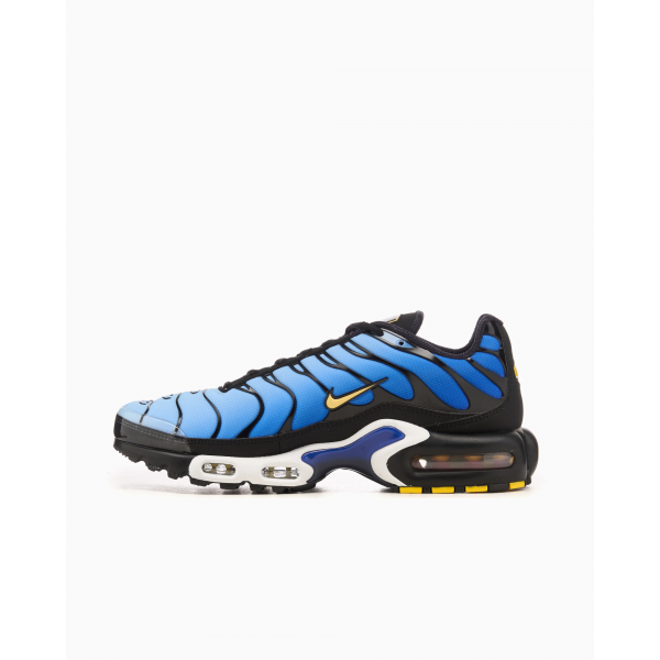 Кросівки чоловічі NIKE AIR MAX PLUS OG DX0755-001