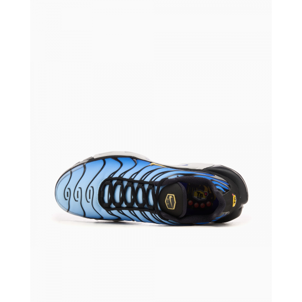 Кросівки чоловічі NIKE AIR MAX PLUS OG DX0755-001