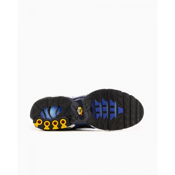 Кросівки чоловічі NIKE AIR MAX PLUS OG DX0755-001