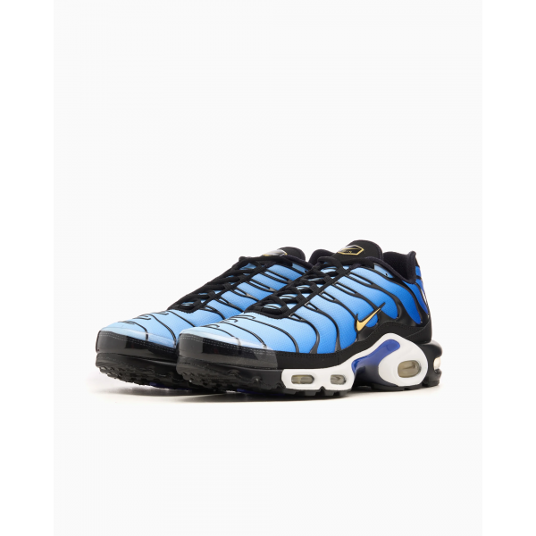 Кросівки чоловічі NIKE AIR MAX PLUS OG DX0755-001