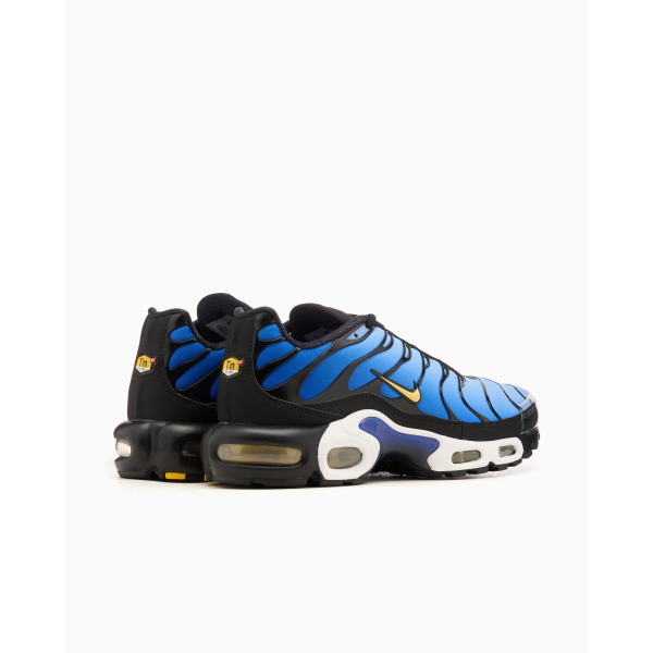 Кросівки чоловічі NIKE AIR MAX PLUS OG DX0755-001