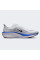 Кросівки чоловічі Nike QUEST 6 FD6033-102
