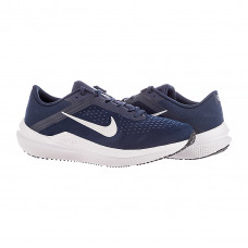 Кросівки чоловічі Nike AIR WINFLO 10 DV4022-400