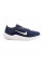 Кросівки чоловічі Nike AIR WINFLO 10 DV4022-400