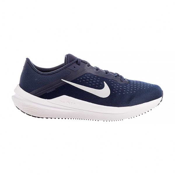 Кросівки чоловічі Nike AIR WINFLO 10 DV4022-400