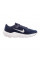Кросівки чоловічі Nike AIR WINFLO 10 DV4022-400