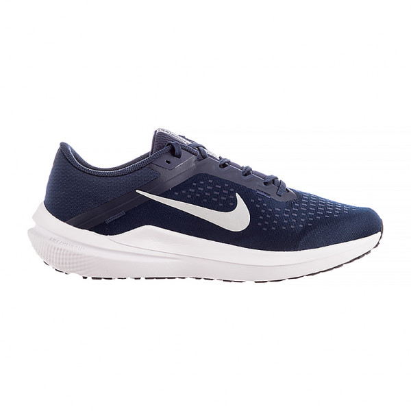 Кросівки чоловічі Nike AIR WINFLO 10 DV4022-400