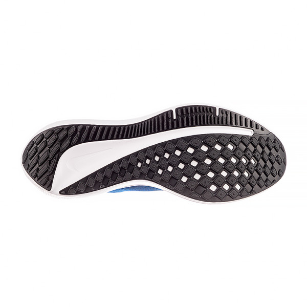 Кросівки чоловічі Nike AIR WINFLO 10 DV4022-400