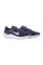 Кросівки чоловічі Nike AIR WINFLO 10 DV4022-400