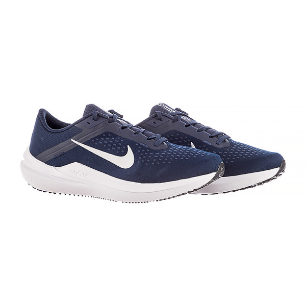 Кросівки чоловічі Nike AIR WINFLO 10 DV4022-400